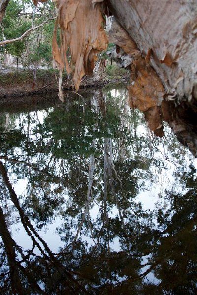 2791 Cape York 550D Aug11 (Medium).jpg